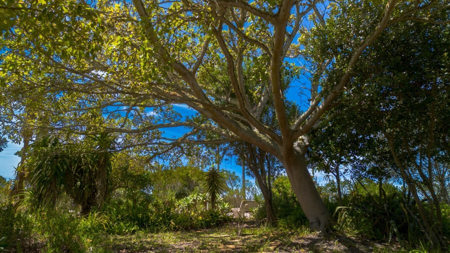 6 Bedroom Property for Sale in Stilbaai Oos Western Cape